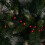 Premier 9m 360 LED BerryBrights Christmas String Lights in Red 2