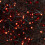 Premier 9m 360 LED BerryBrights Christmas String Lights in Red 5