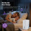 1000ml Mini ELECTRIC Dehumidifier Portable Quiet Timer function Home Office 2026 3