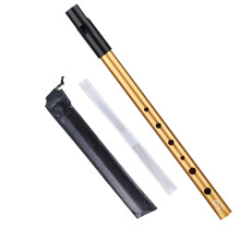 Irish Tin Whistle Key of D Exceptional Sound Penny Whistle for Beginners Music Lovers with Protective Case