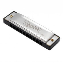 Blues Harmonica C 10 Hole 20 Tone Diatonic Mouth Organ Key of C Silver