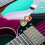 Guitar Picks 24 Pcs,Medium Guitar Pick Variety Pack with Pick Holder(Cat-2) 2