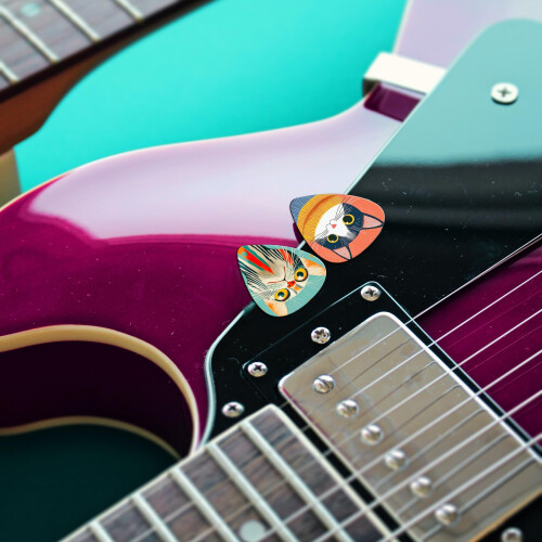 Guitar Picks 24 Pcs,Medium Guitar Pick Variety Pack with Pick Holder(Cat-2) 1