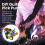 Pick-a-Palooza DIY Guitar Pick Punch Gift Pack with Pick Punch Tool - Red 2