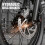 26" Electric Bike 48V13AH Remove Battery 7-speed 12