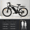 26" Electric Bike 48V13AH Remove Battery 7-speed 14