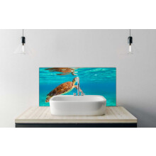 Printed Glass Bathroom Splashback - Green sea turtle taking a breath of fresh air 600x300mm