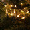 Noma 80 LED Warm White Classic String Lights 1