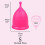 SHORDY Menstrual Cup - Small Period Cup for Light Flow 5