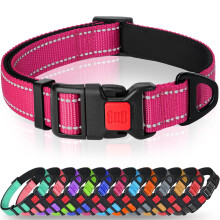 Taglory Reflective Dog Collar for Medium Dogs, Padded Nylon with Buckle
