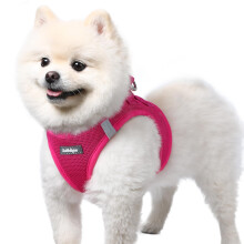 rabbitgoo Dog Harness Small Dog, Step-in Soft Mesh Vest, Hot Pink