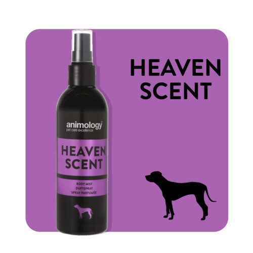 Animology Heaven Scent Body Mist, 150 ml 1