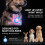 SerDa-Run LED Dog Collar Lights - 2 Pack, 3 Light Modes for Night Walking & Camping (2PCS Pink + Blue,Regular) 5