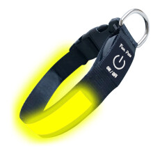 Fun Pets LED Dog Collar in Yellow - USB Rechargeable Pet Safety Collar - Great Visibility & Improved Safety (20cm - 30cm / 7.87" - 11.8")