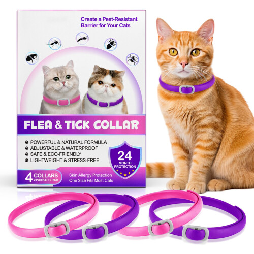 4-Pack Collar for Cats, Adjustable Waterproof Design for Cat