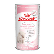 ROYAL CANIN Babycat Powdered Milk 300g