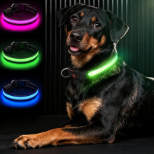 Bamda LED Light Up Dog Collar for Large Dogs, Hi-Vis Glow Collar, Green