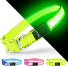 Ezierfy Light Up Dog Collar - Type-C USB Rechargeable LED Dog Collar, Adjustable Glowing Pet Collar with 3 Flash Modes, Super Bright Safety Dog Light
