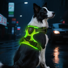 AUAUY Light Up Dog Harness, Rechargeable LED Dog Harness (Green- M)