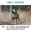 Embark Adventure No Pull Dog Harness, Heavy Duty Vest, Baja Small 2