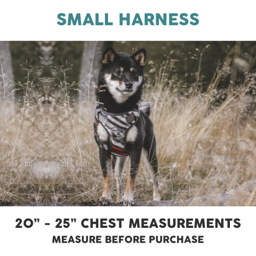 Embark Adventure No Pull Dog Harness, Heavy Duty Vest, Baja Small 1