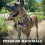 Embark Adventure No Pull Dog Harness, Heavy Duty Vest, Baja Small 6