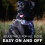 Embark Adventure No Pull Dog Harness, Heavy Duty Vest, Baja Small 5