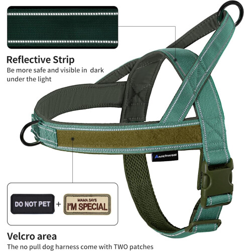 Annchwool No Pull Dog Harness with Soft Padded Handle & Front Clip,Green,L 1