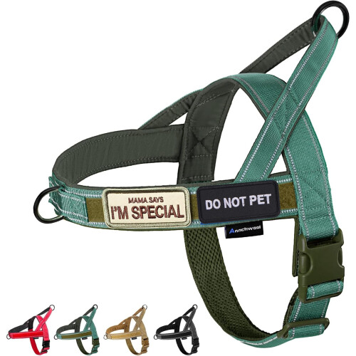 Annchwool No Pull Dog Harness with Soft Padded Handle & Front Clip,Green,L