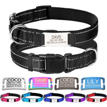 Personalized Nylon Dog Collar with Engraved Name Plate, XL, Black