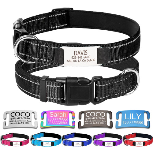 Personalized Nylon Dog Collar with Engraved Name Plate, XL, Black