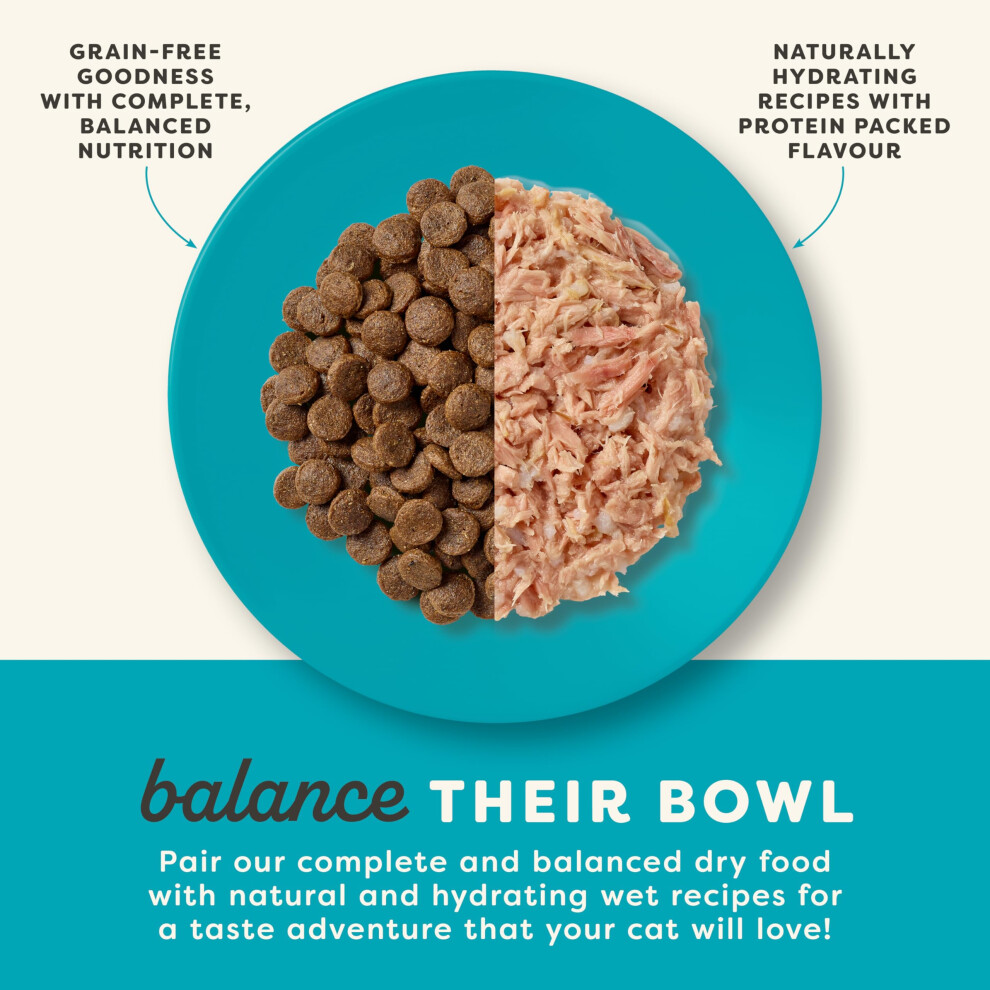 Applaws Complete Natural Grain Free Senior Chicken Dry Cat Food - 2kg ...