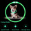 2 Pack LED Dog Collars, 27.5 in USB Rechargeable Lighting Pet Collar 4