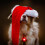 Orbiloc Dog Dual Safety Light Red 5
