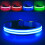 PcEoTllar Rechargeable LED Dog Collar, Waterproof, Blue L 1