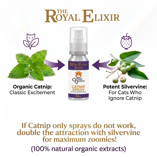 Extra Strong Catnip Spray for Cats UK with Silvervine - 60ml 2