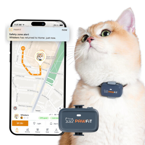 Pawfit Lite 4G GPS Cat Tracker, Live Tracking, Ultra-Light, Charcoal Grey