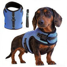 Hilspace Mini Dachshund Harness Vest, No Pull & No Armpit Rub Dachshund Harness, Escape Proof Adjustable Dog Harness for Walking (XS: Chest 25-31cm (