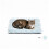 MORA PETS Cat Bed with Stripe Pattern, Small Dog Bedding for 22inch Crate 1
