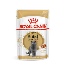 Royal Canin British Shorthair Wet Cat Food, 85 g (Pack of 12)