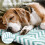 MORA PETS Cat Bed with Stripe Pattern, Small Dog Bedding for 22inch Crate 2