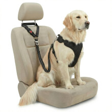 Barpre Dog Seat Belt for Car Headrest & Seatbelt Clip - Anti Shock Elastic Bungee Dog Car Harness Lead - Dual Attachment Adjustable Reflective Safety