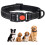 REVER Reflective Dog Collar, Nylon, Soft Neoprene Padded, Durable 1