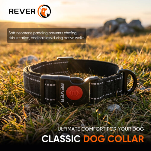 REVER Reflective Dog Collar, Nylon, Soft Neoprene Padded, Durable 1
