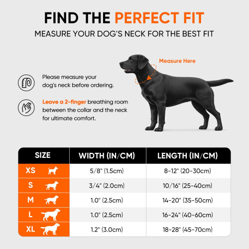 REVER Reflective Dog Collar, Nylon, Soft Neoprene Padded, Durable 2