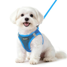 Eagloo Small Dog Harness & Lead, Easy to Wear, Breathable Mesh Puppy Vest