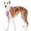 Huntboo Escape Proof Dog Harness Large, No Pull dog harness, Pink 1