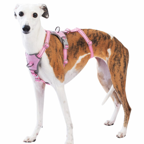 Huntboo Escape Proof Dog Harness Large, No Pull dog harness, Pink