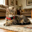 2Pack Cat Collars Quick Release Star Moon Pattern Reflective Kitten Collar with Bell & Safety Release (Red) 19-32cm 4
