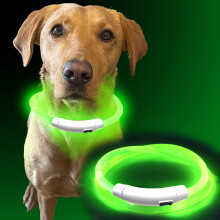 Murr LED Dog Collar Light | Rechargeable Flashing Dog Collars for Dark & Night Walking | USB Light Up Dog Collar for Dogs | Waterproof Safety Collar